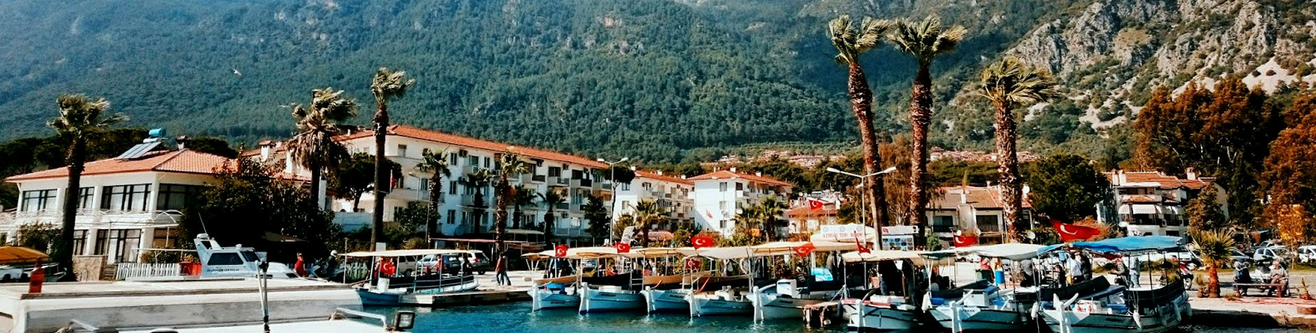 mugla_peyzaj_firmalari_0_